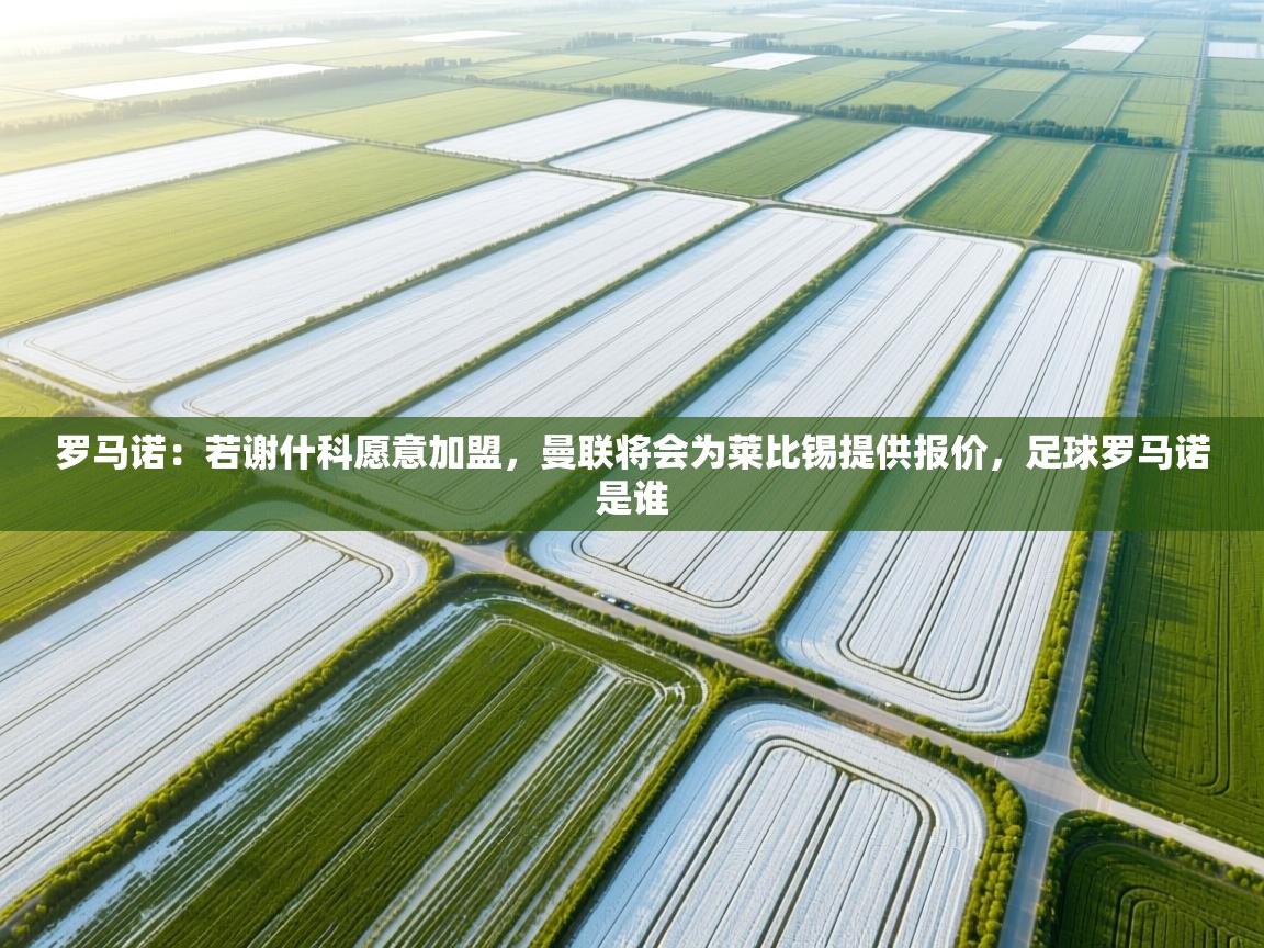 罗马诺：若谢什科愿意加盟，曼联将会为莱比锡提供报价，足球罗马诺是谁  第1张