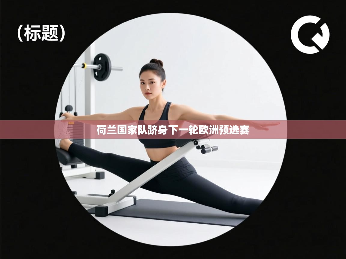 荷兰国家队跻身下一轮欧洲预选赛  第1张