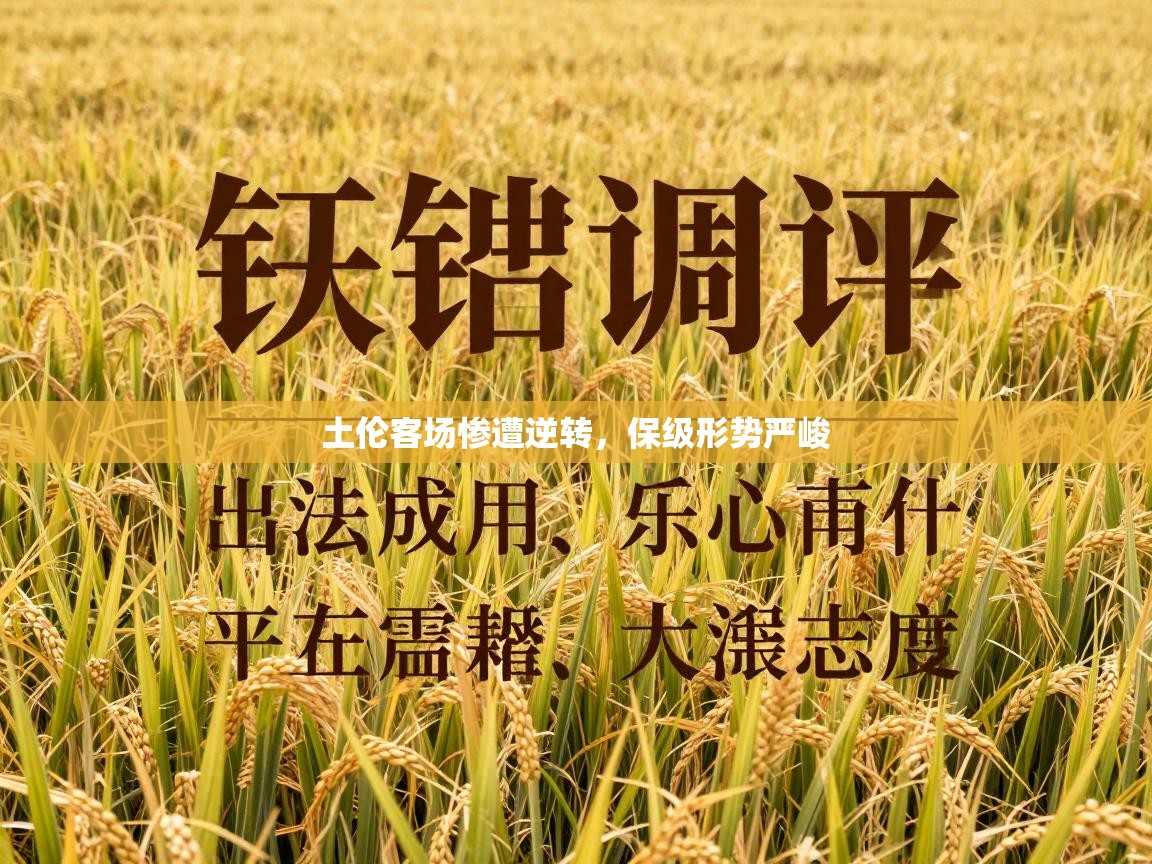 土伦客场惨遭逆转,保级形势严峻 第2张