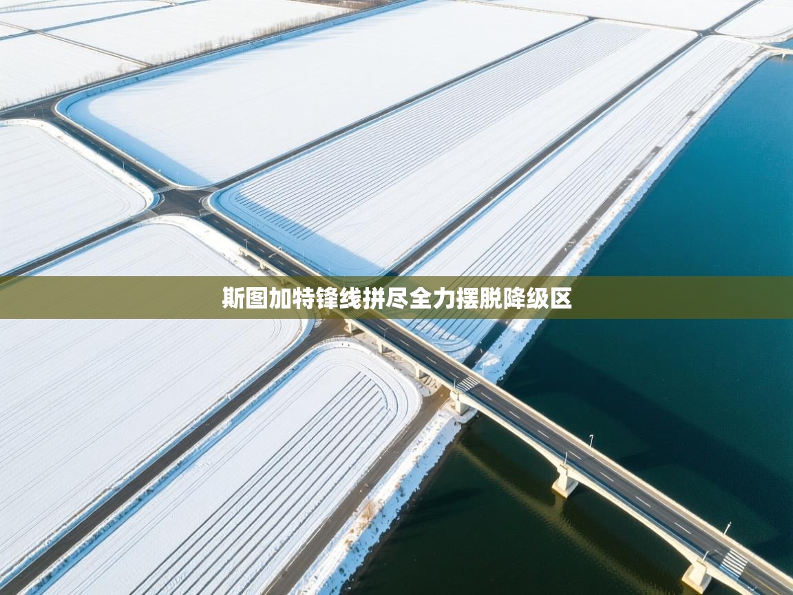 斯图加特锋线拼尽全力摆脱降级区  第2张